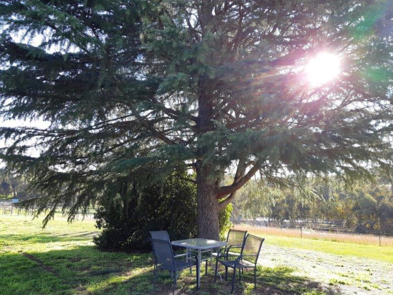 Indigo Vineyard Farmstay photo 2