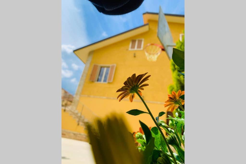 Flowery House photo 4