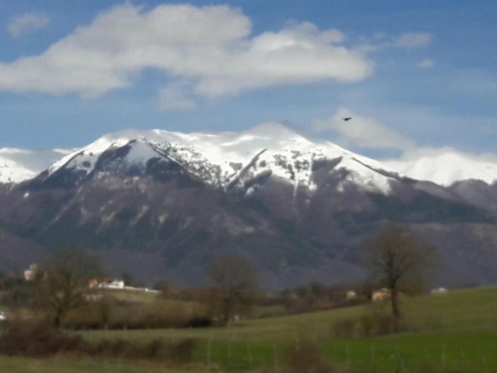 Casa Corsetta photo 3
