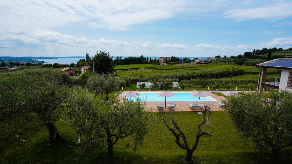 Casa Olivi Apartments photo 4
