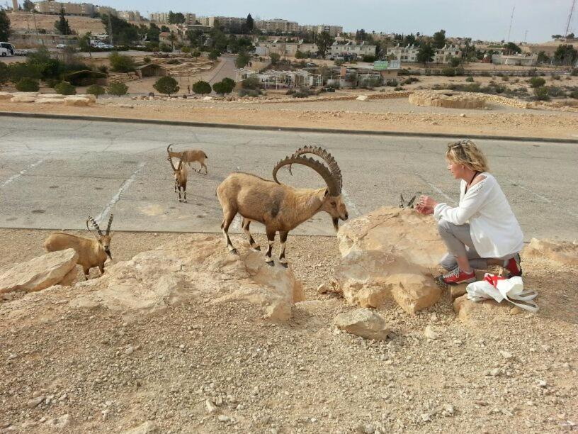 Aloni - Guest house Dead Sea photo 4