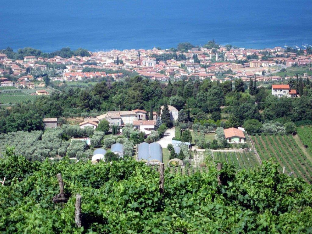 Agriturismo la Casetta photo 4