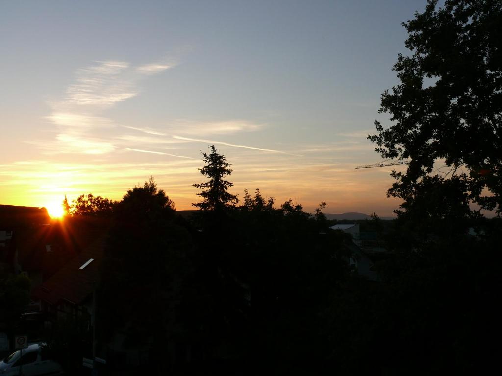 Leiselheimer Hof photo 3