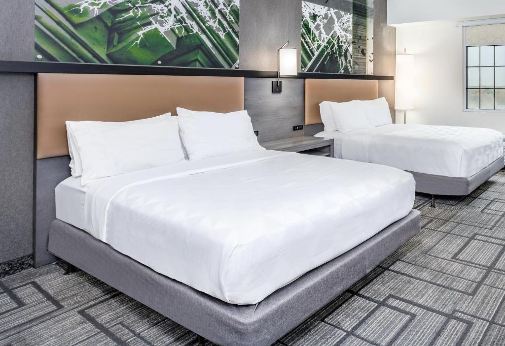 Holiday Inn Lafayette-City Centre, an IHG Hotel photo 4