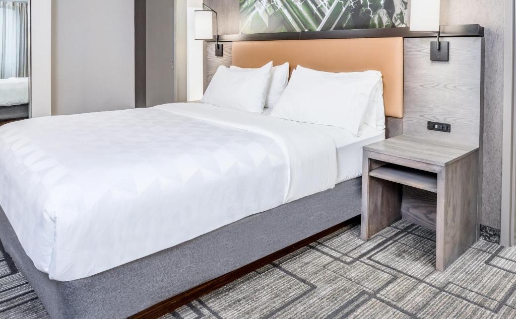 Holiday Inn Lafayette-City Centre, an IHG Hotel photo 3