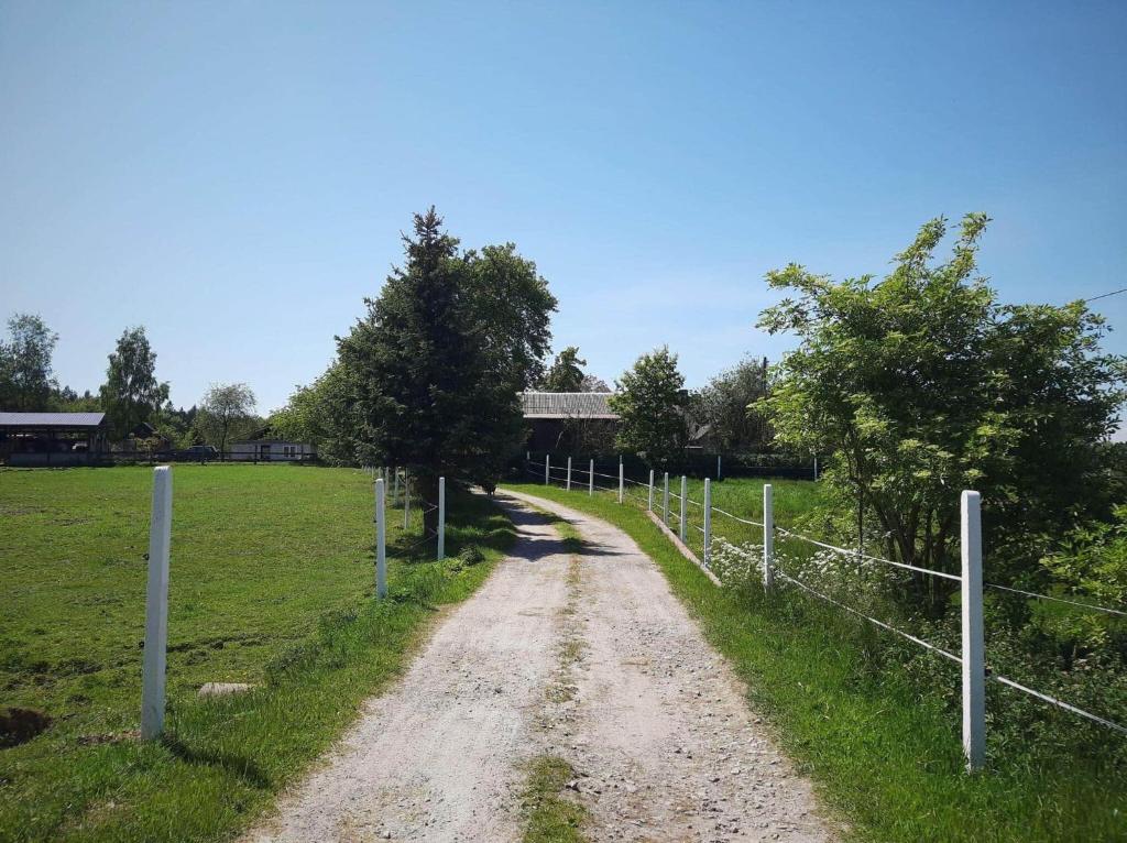 Ignatówka photo 1
