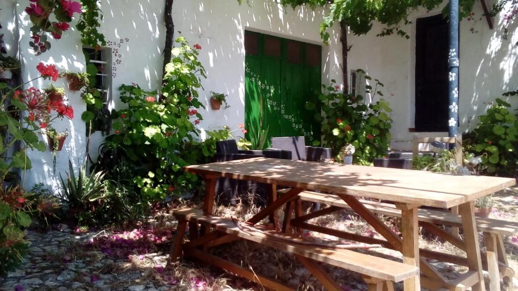 Es Barranco photo 2