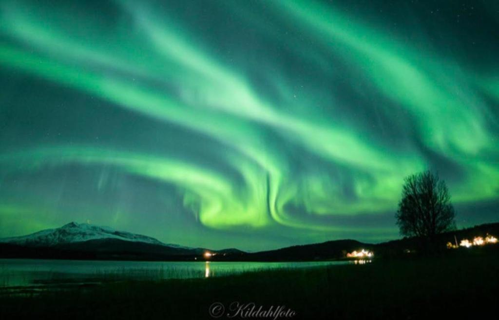 Visit Leif at Senja photo 4