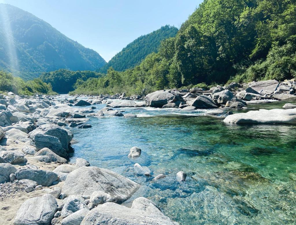 Camping Piccolo Paradiso photo 1