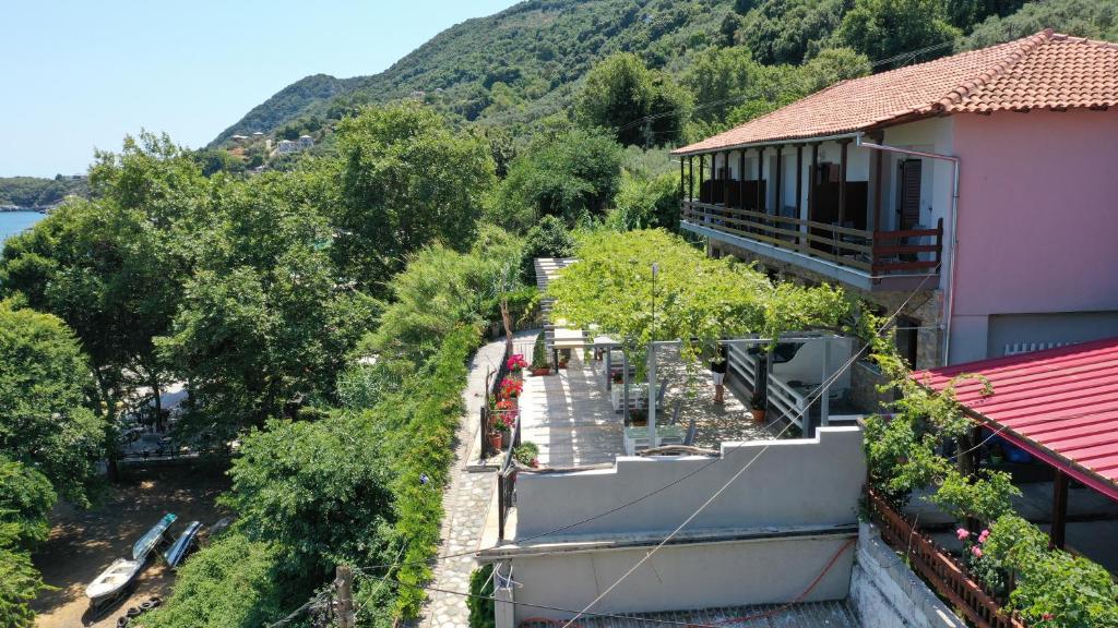 Ammos papanero photo 2