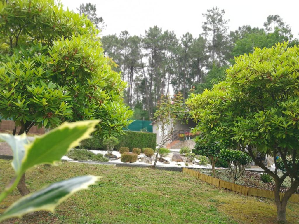 casa Francelos photo 3