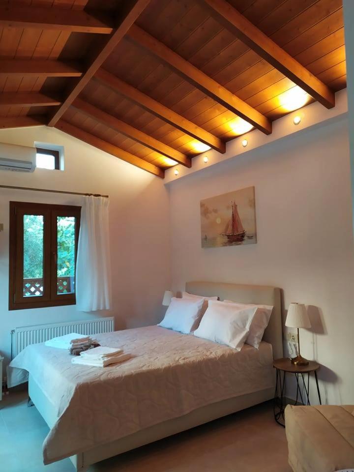 Villa Arktos photo 1