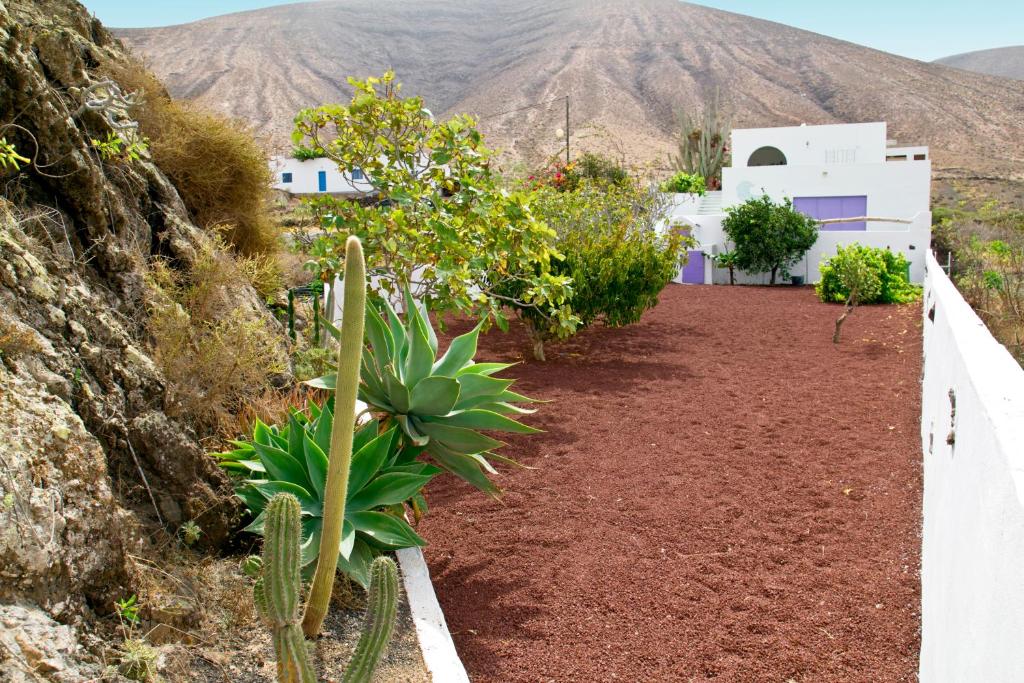 Villa Tranquila photo 4