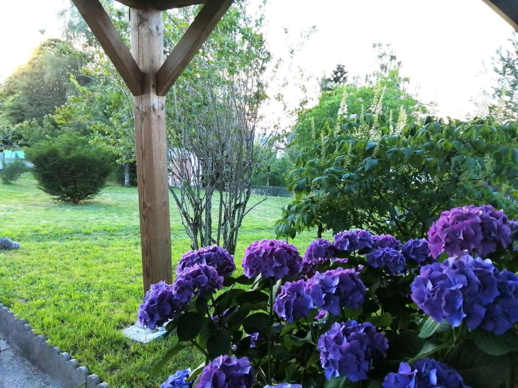 Le petit nid photo 4
