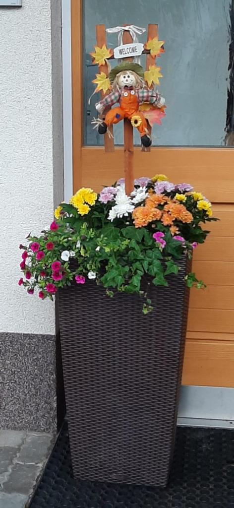 Appartement Barbara photo 1