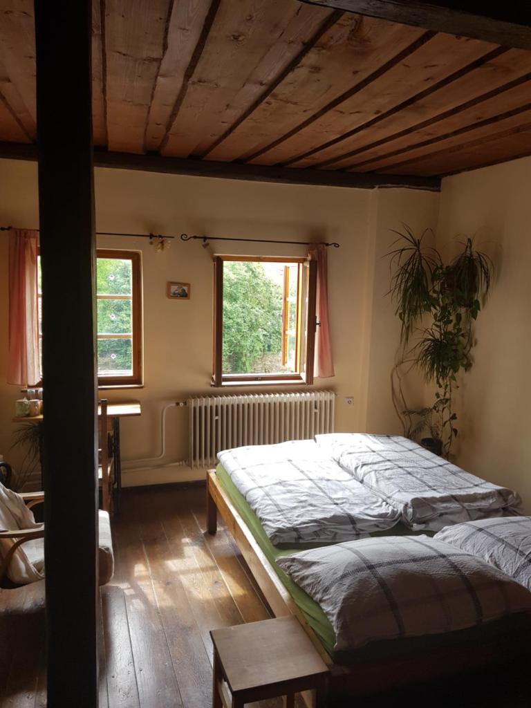 Hostelskippy photo 1