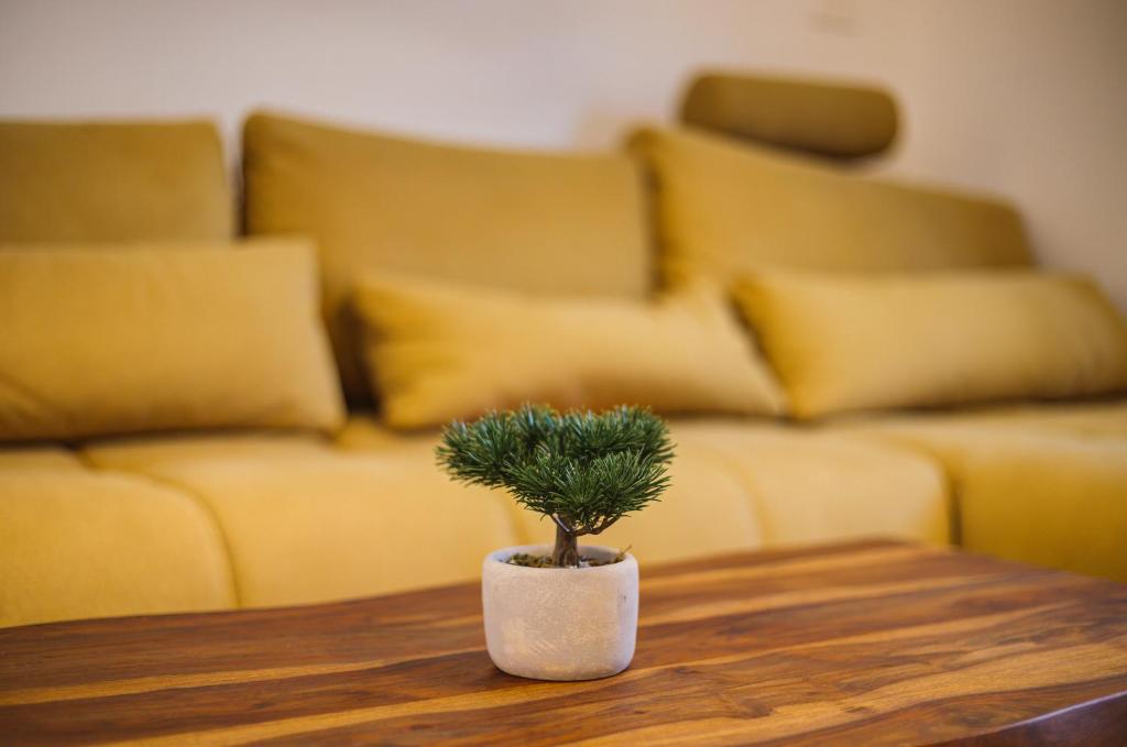 Apartman Izzy photo 4