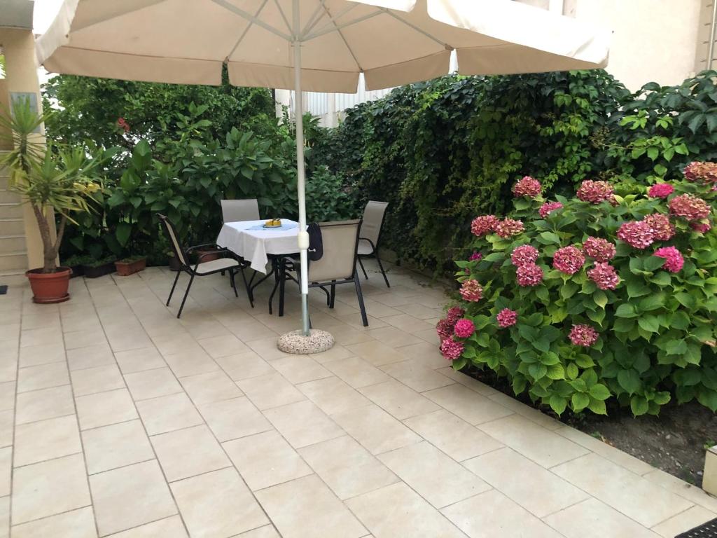 Villa Rihter photo 3