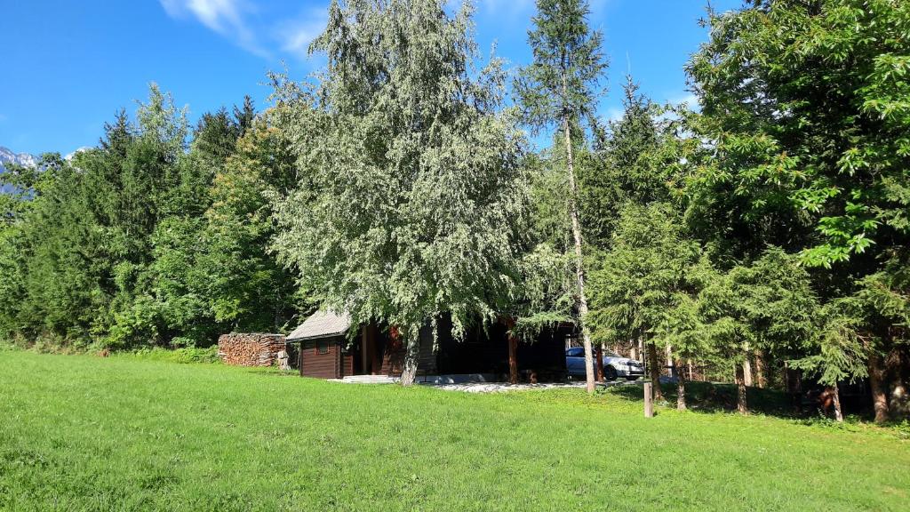 Forrest House photo 1