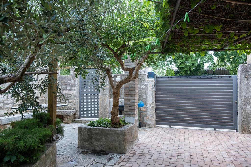 Country House Casa Lucia photo 4