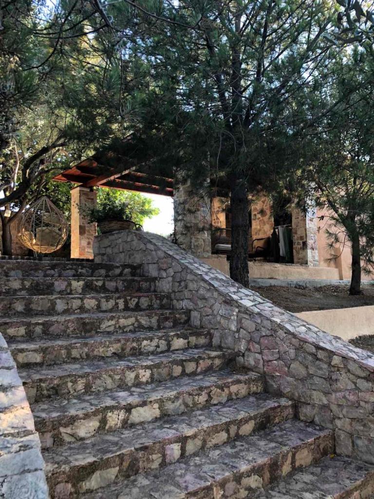 Villa Vena photo 2