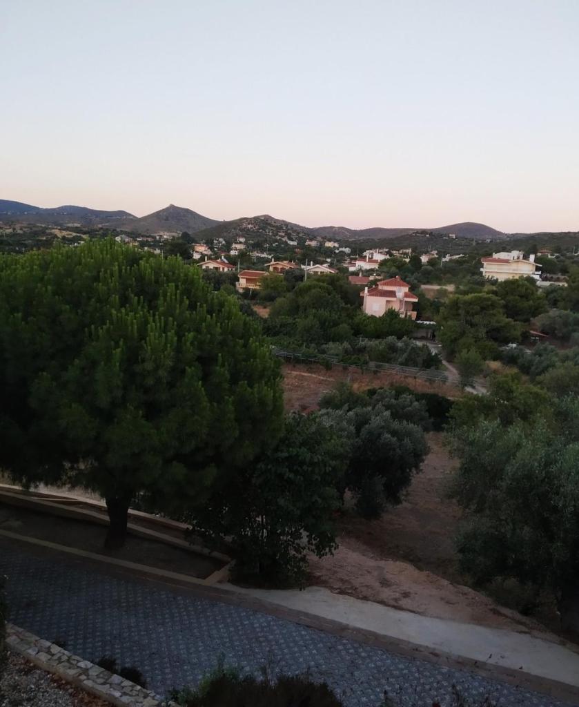 Villa Vena photo 4