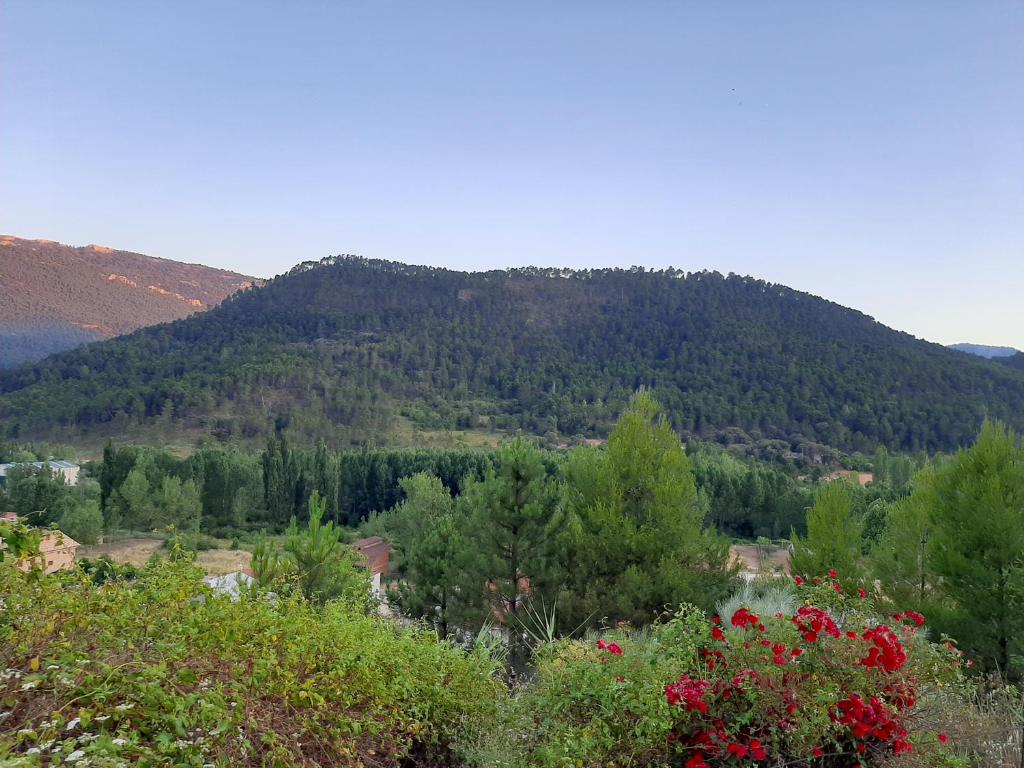 Cibanto de las Maravillas photo 3