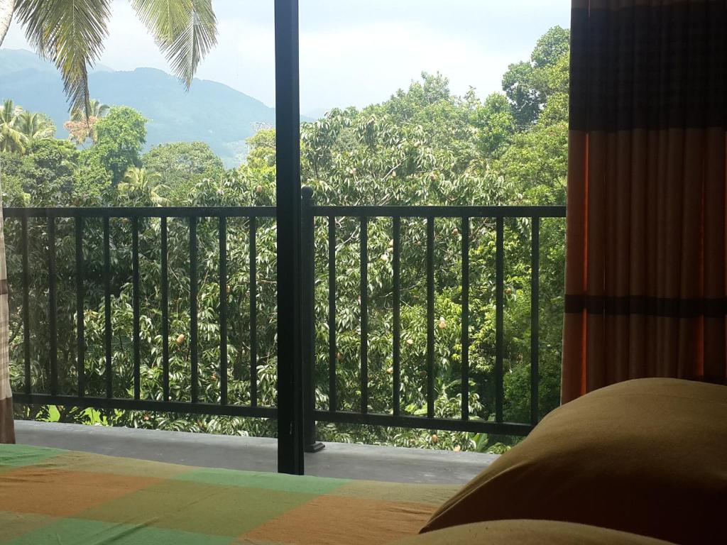 Hanthana view photo 4