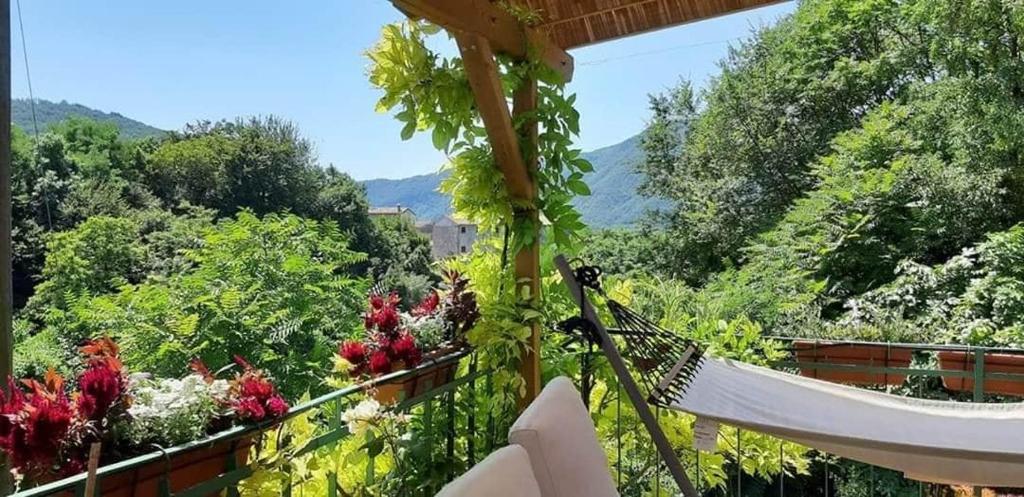 La Casa Rosa di Segusino with SPA Jacuzzi in garden photo 3