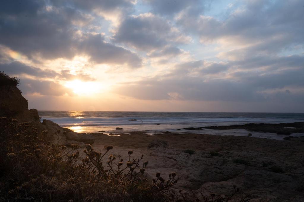 Presiada heart of Akko photo 4