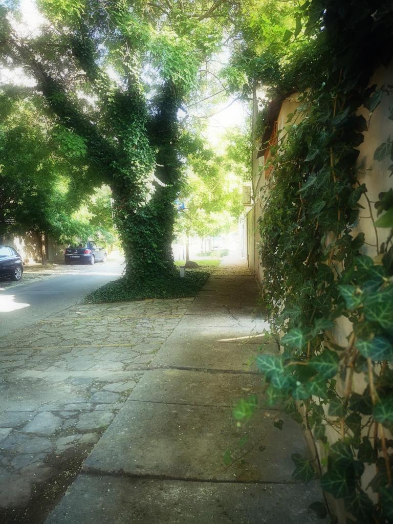Centar photo 3