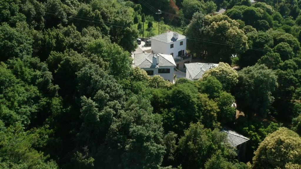 Chiron Residence photo 1