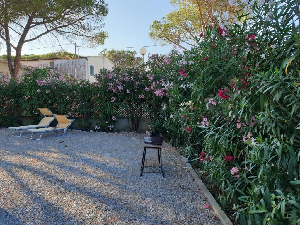 Appartamento Montecristo 1 photo 2