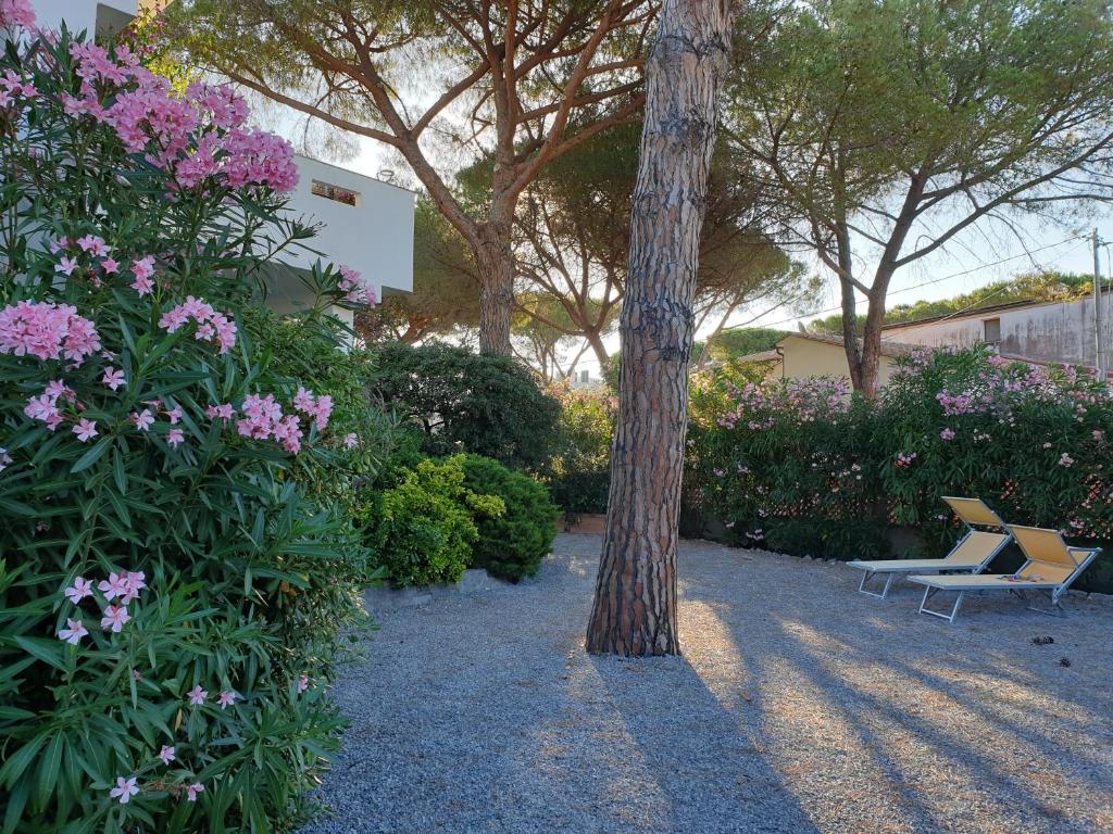 Appartamento Montecristo 1 photo 3
