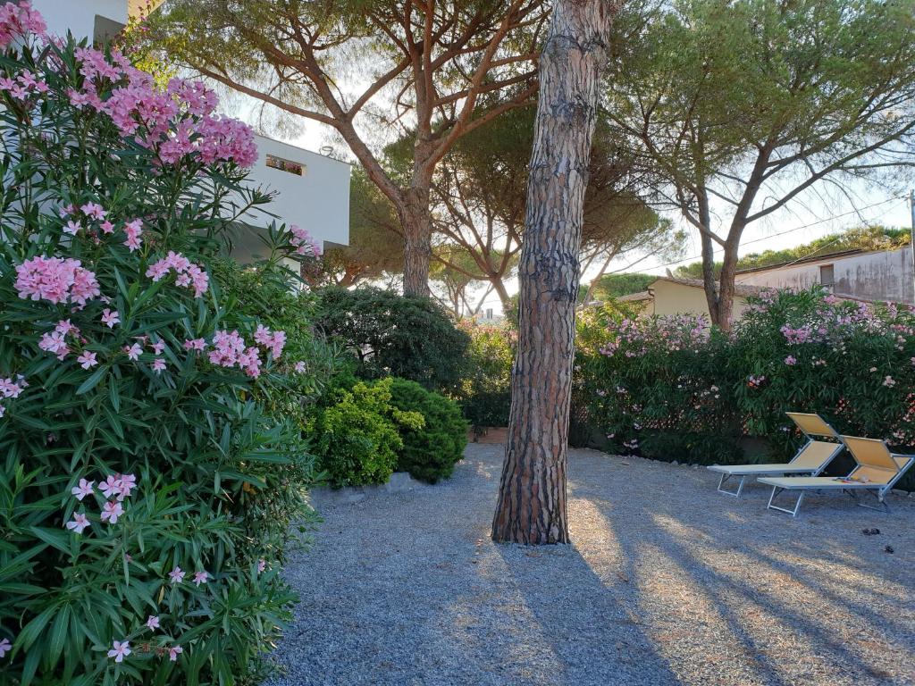 Appartamento Montecristo 1 photo 4