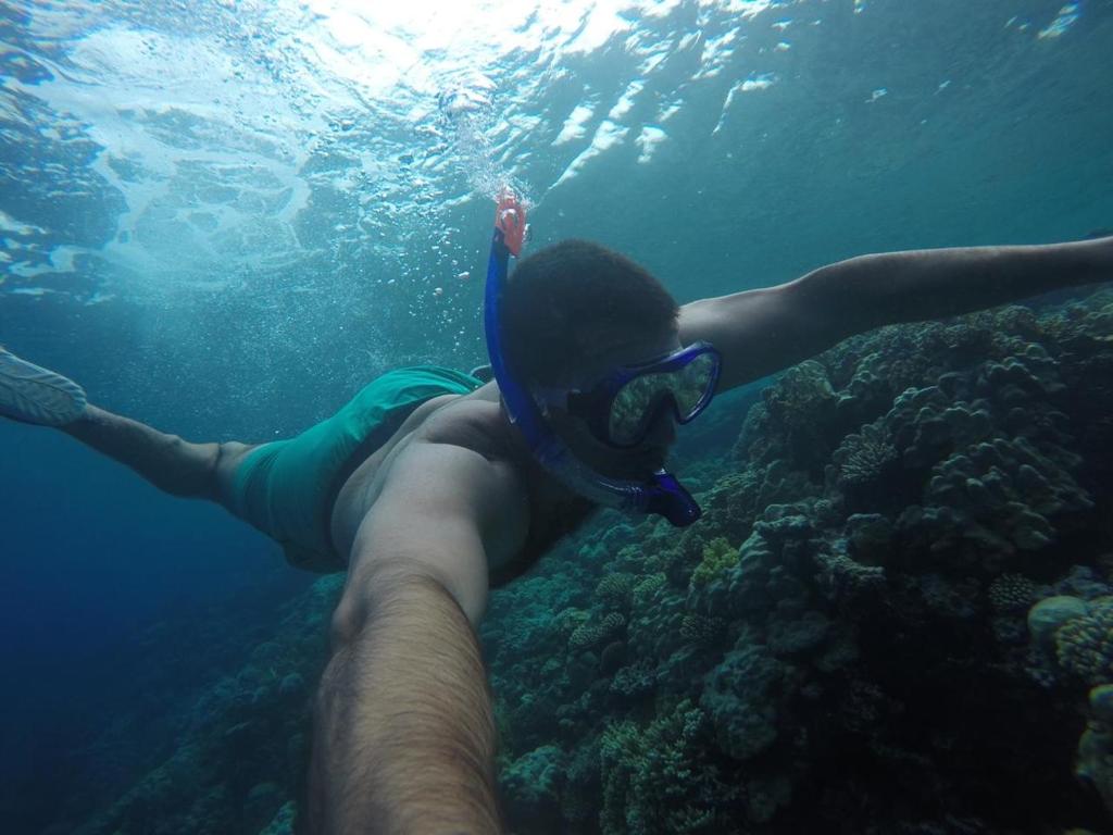 Star Of Dahab Hotel photo 3