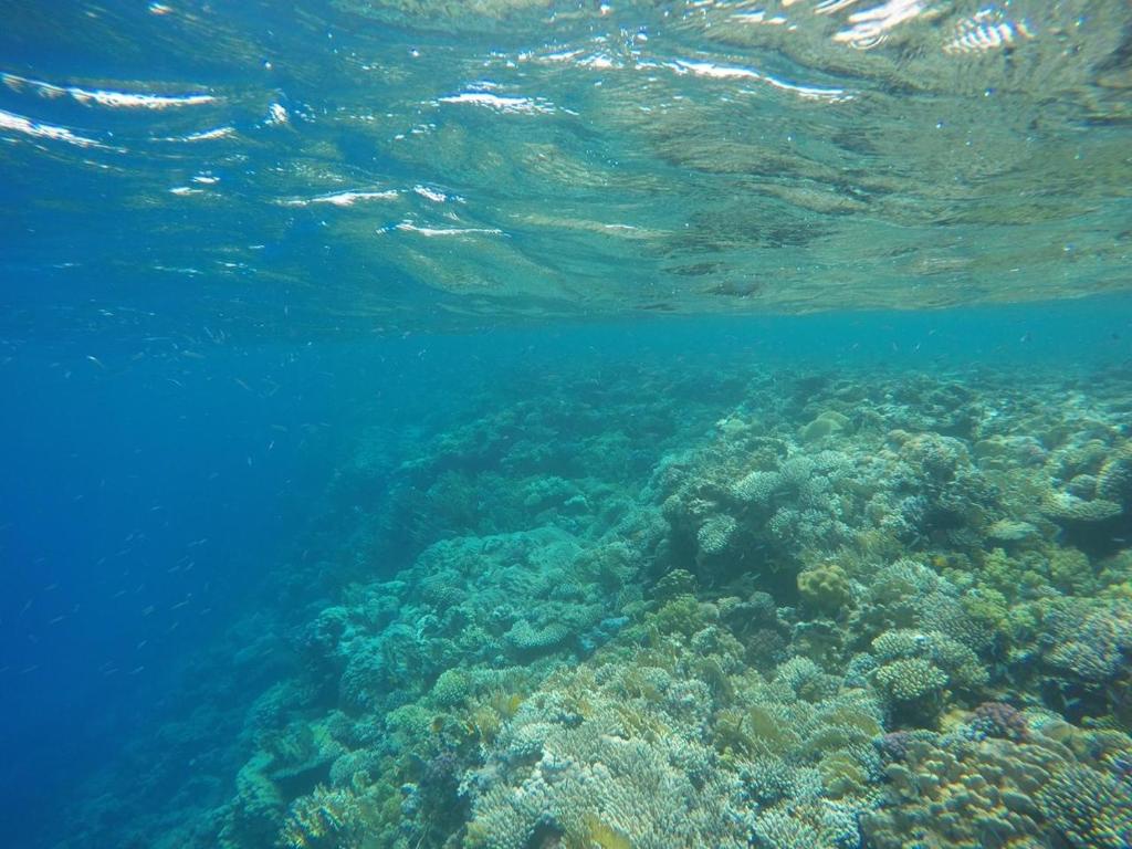 Star Of Dahab Hotel photo 1