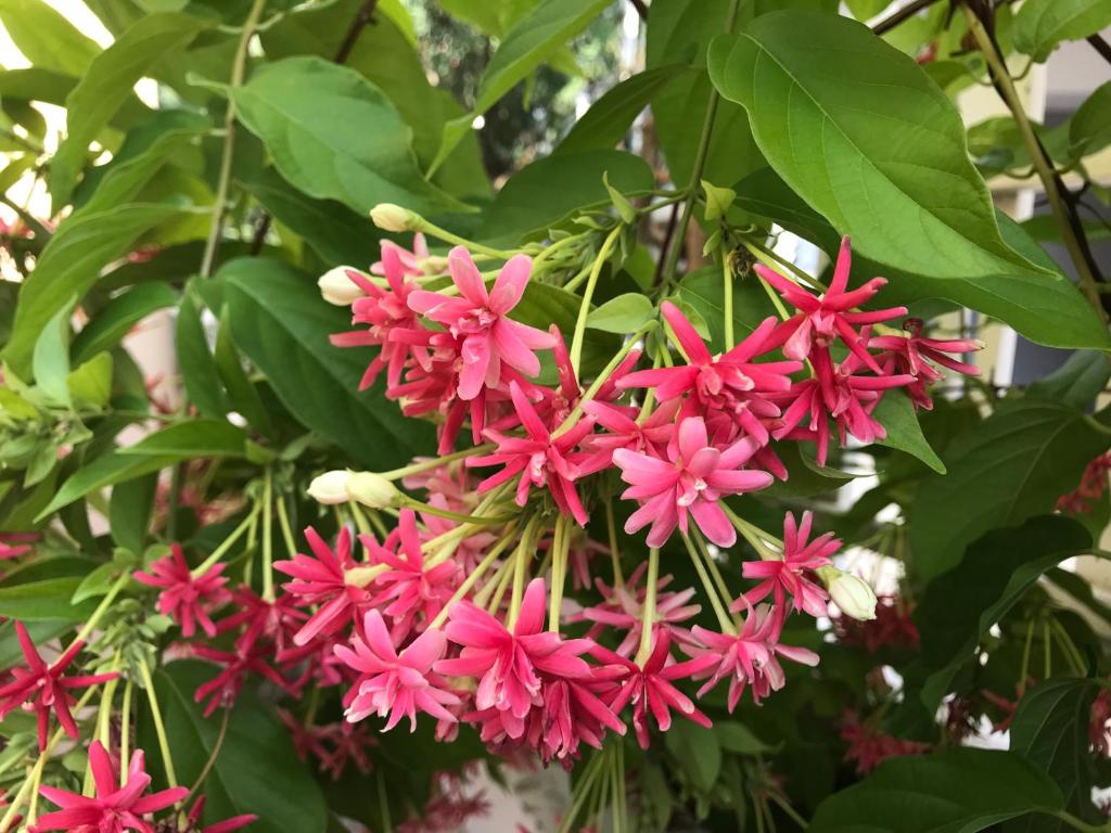 Rio bluesea apartment 2