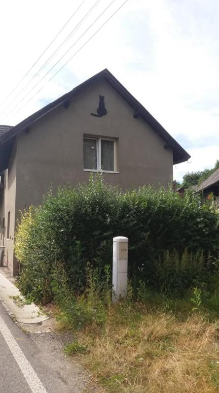 Černá Kočka- Low cost ubytování photo 1