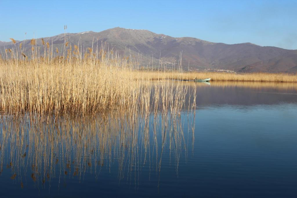 Kivotos Epavlis photo 2