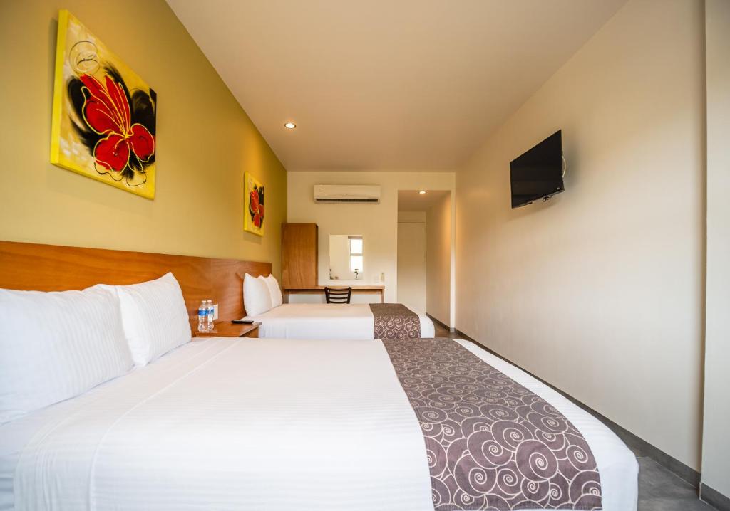 AM Hotel y Plaza photo 1