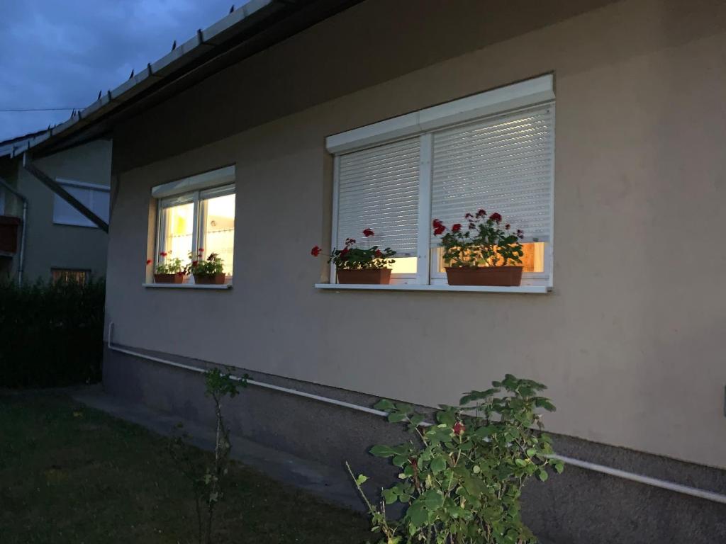 Tulman Apartment