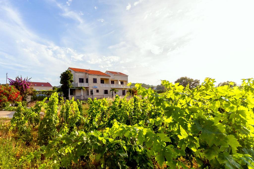 Apartmani Fides photo 3