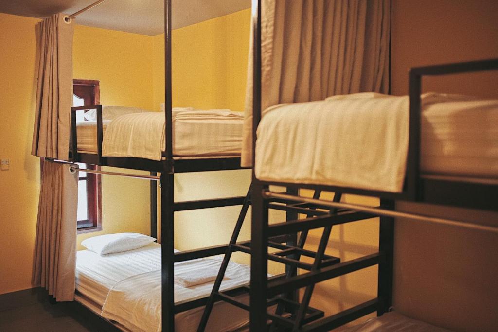 The Vibe House - Chillout Hostel