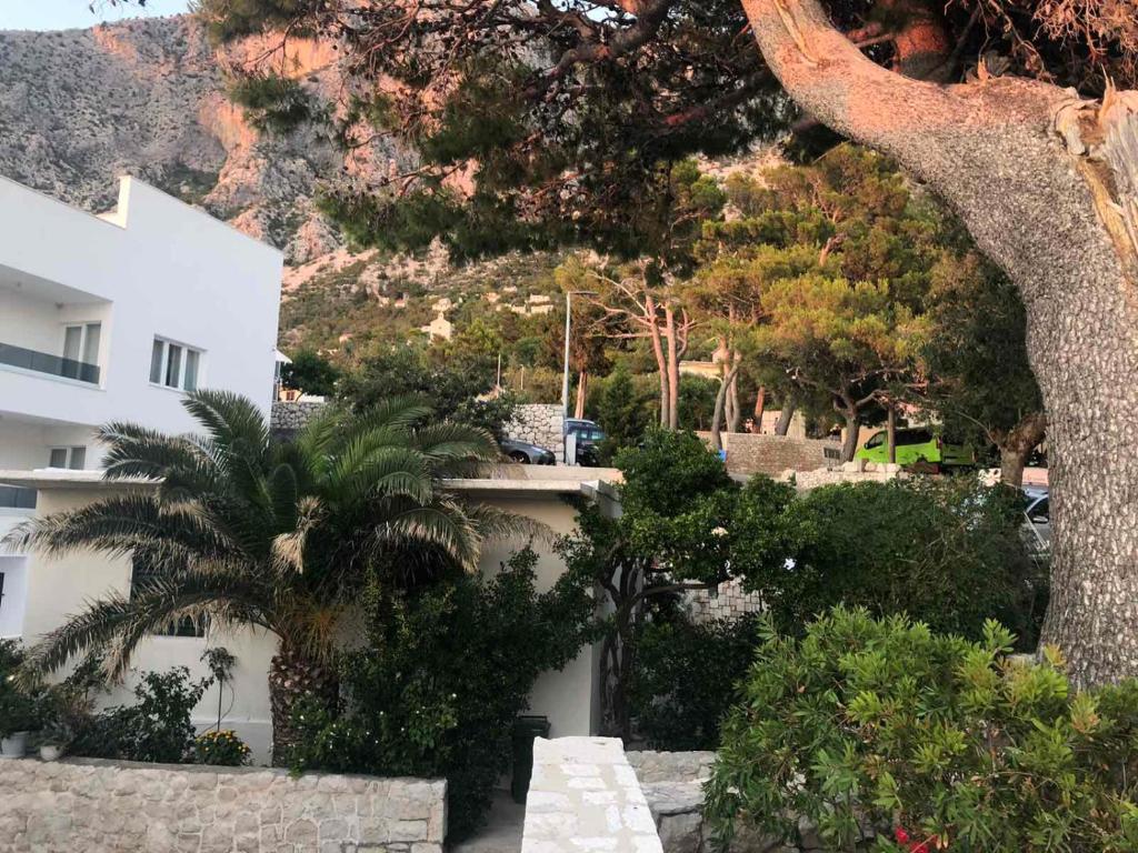 Villa Lasta photo 1