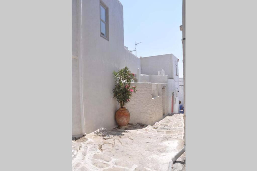 Chora Elegant Traditional House photo 2
