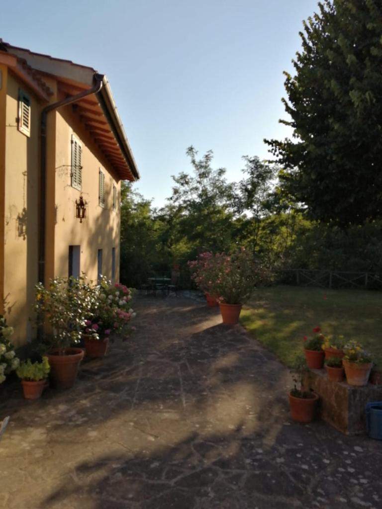 Mugello - casa di campagna photo 2