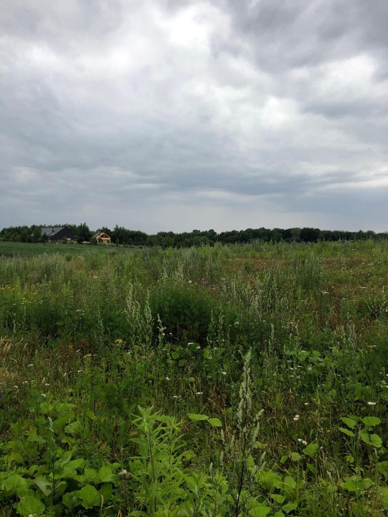 Dom na Wysoczyźnie Elbląskiej photo 2