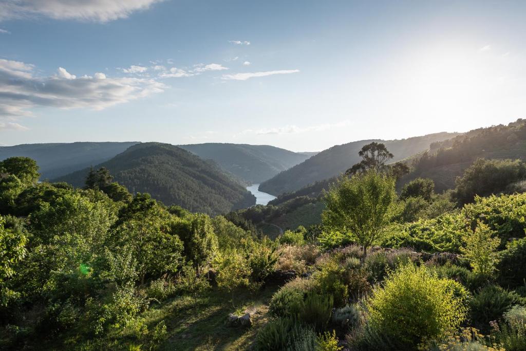 Lujosa casa en la Ribeira Sacra photo 3