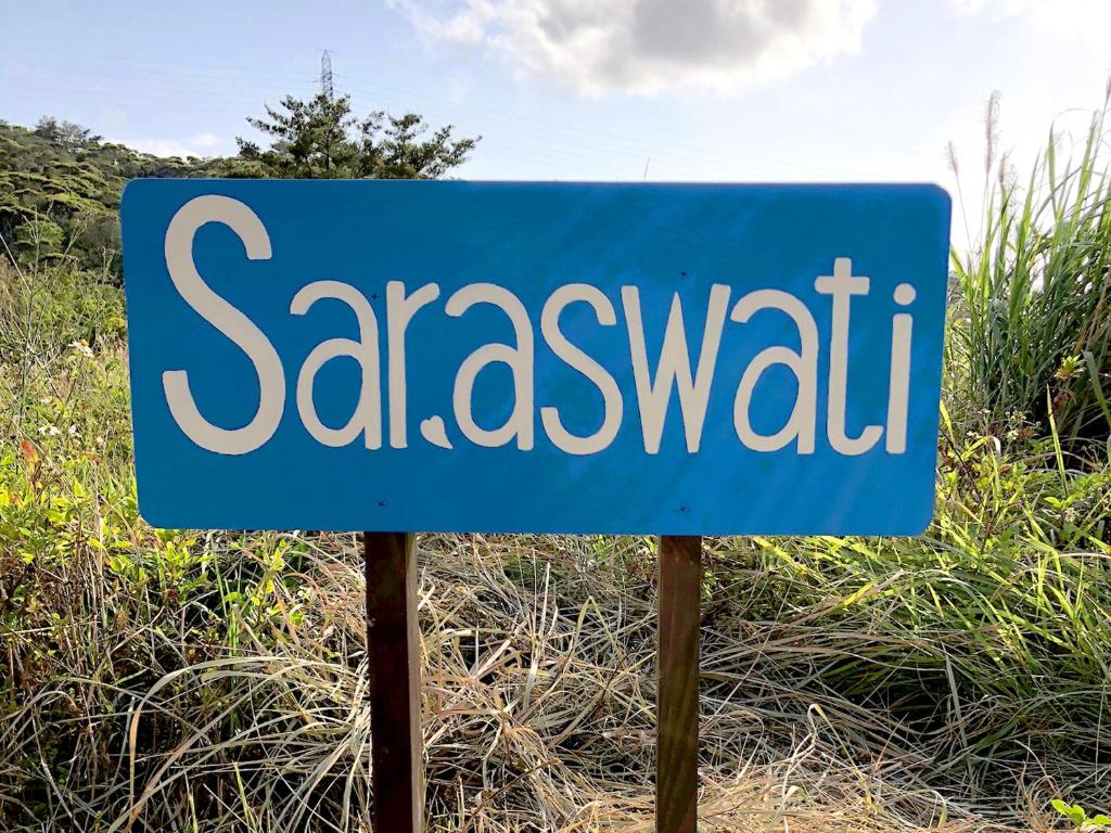 Saraswati photo 4